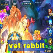 vet rabbit